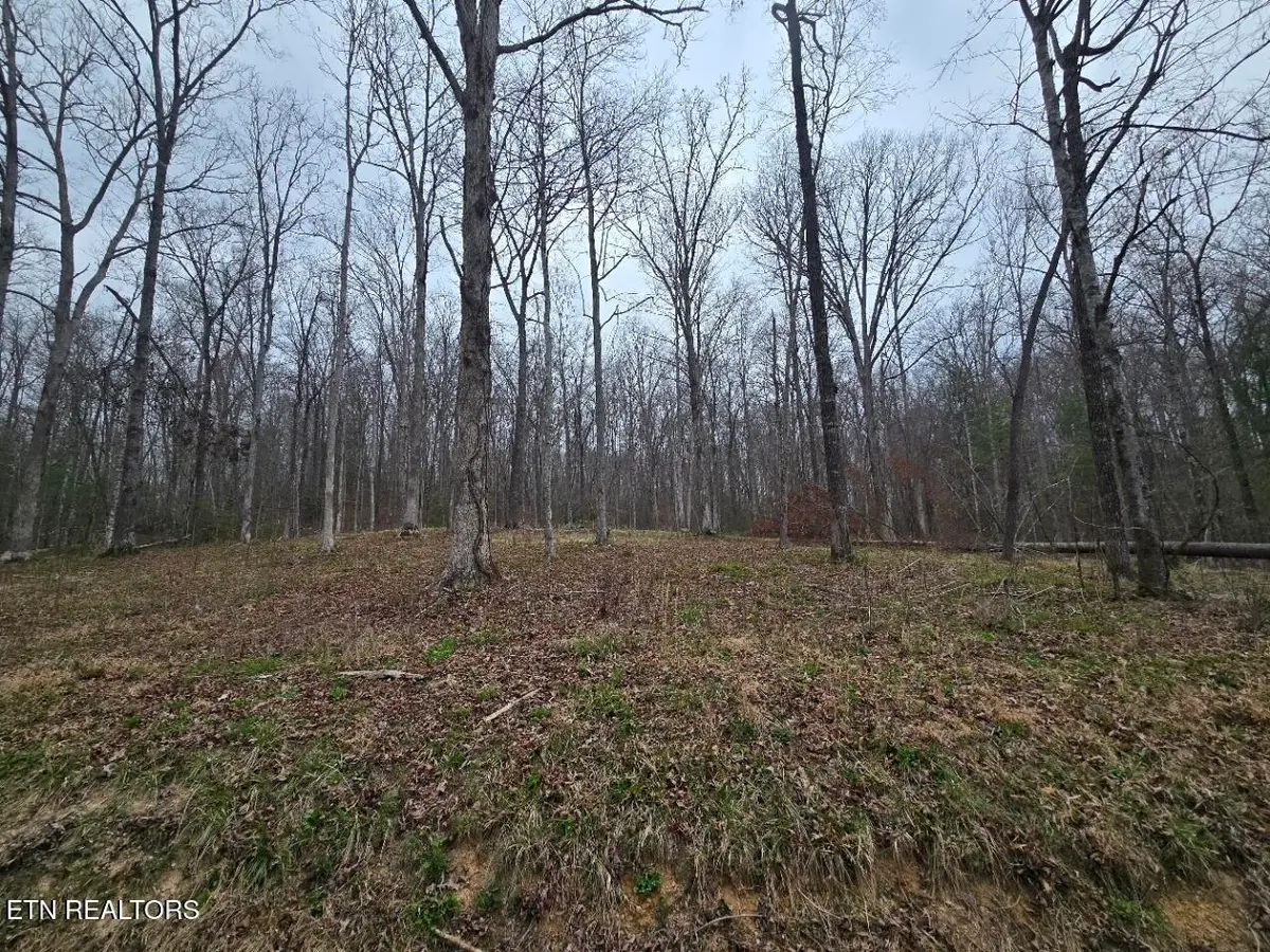 0 Scott-fentress Co. Line, Allardt, TN 38504 - #1