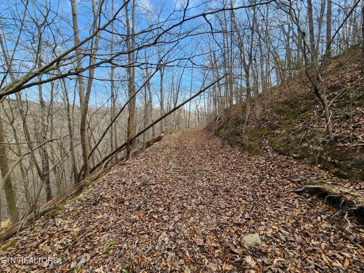 Alpine Drive, Smithville, TN 37166 - #1