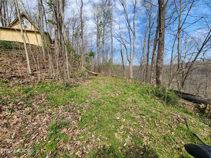 Alpine Drive, Smithville, TN 37166 - #3