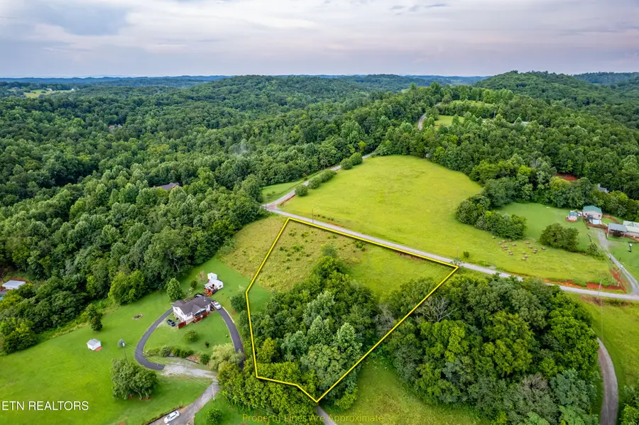 145 Mountain Mist Drive, Del Rio, TN 37727 - #3