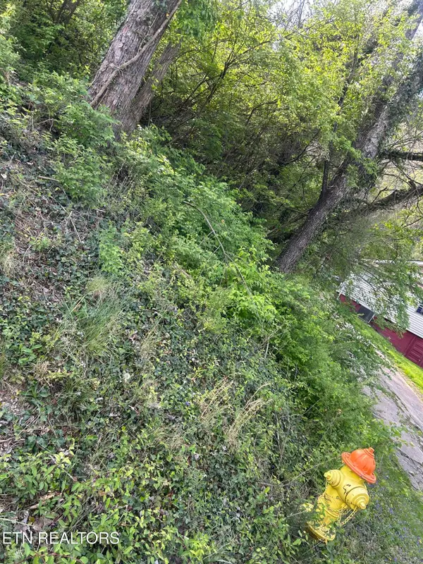 3339 Johnston St, Knoxville, TN 37921