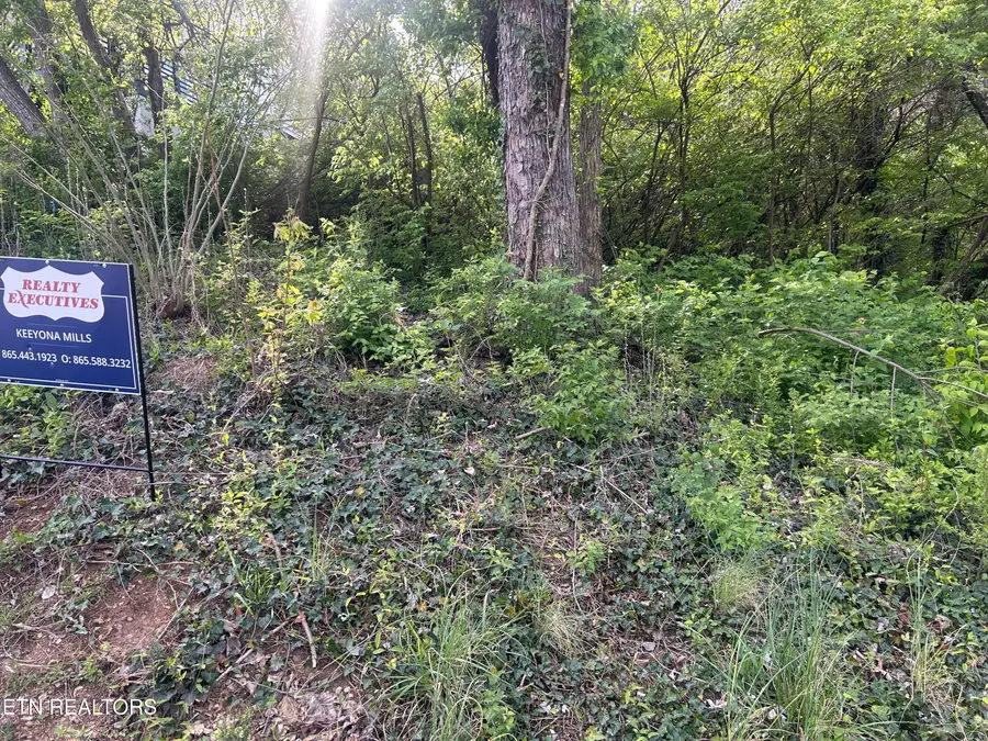 3339 Johnston St, Knoxville, TN 37921 - #3