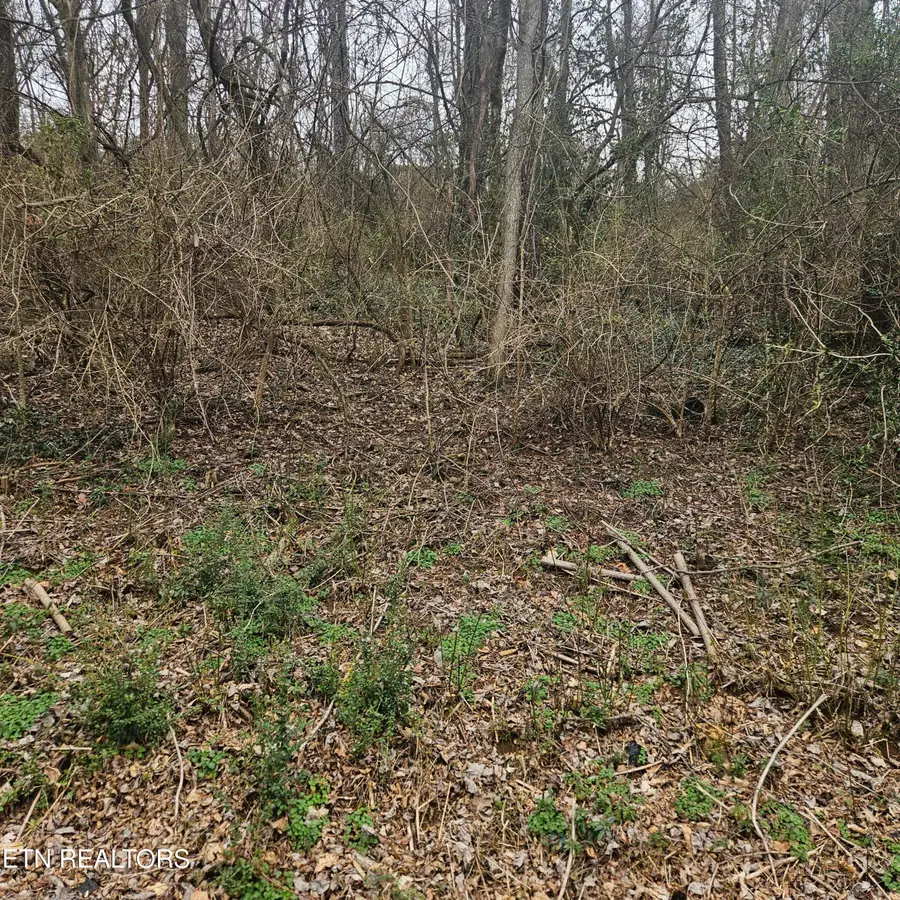 Cherokee Tr, Seymour, TN 37865 - #2