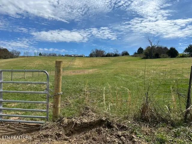 000 Swatsell Lane Lane, Parrottsville, TN 37843 - #2