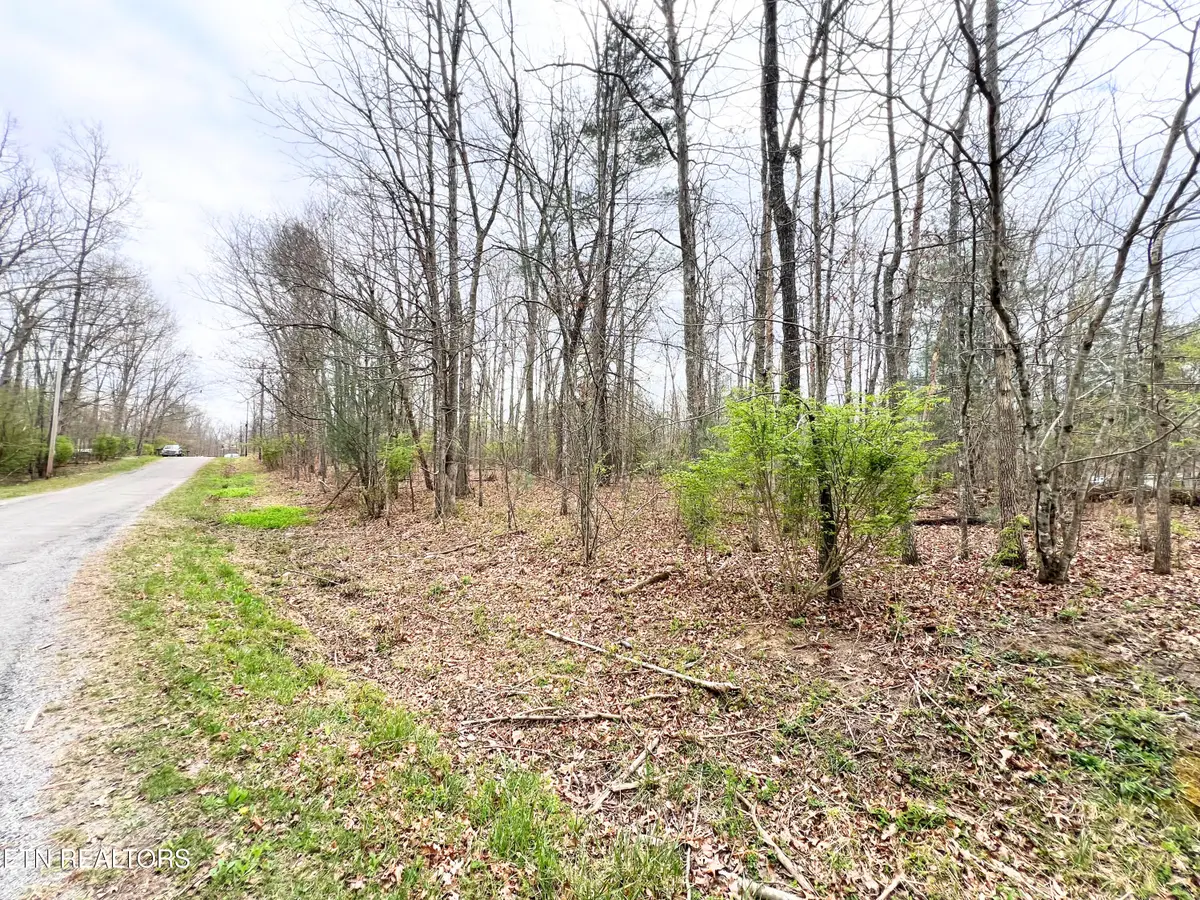 1032, 1036 Uno Lane, Crossville, TN 38572 - #1