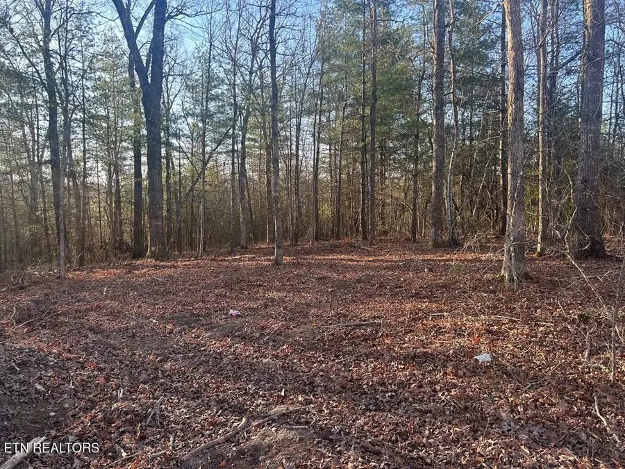 239 Sewell Drive, Allardt, TN 38504 - #3