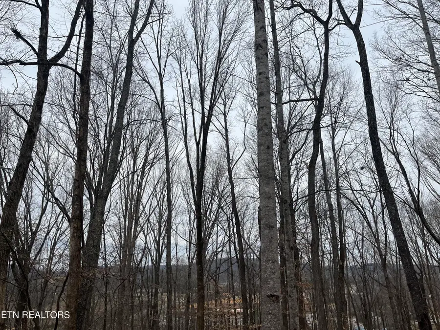 147 Chestnut Hill Rd, Livingston, TN 38570 - #3