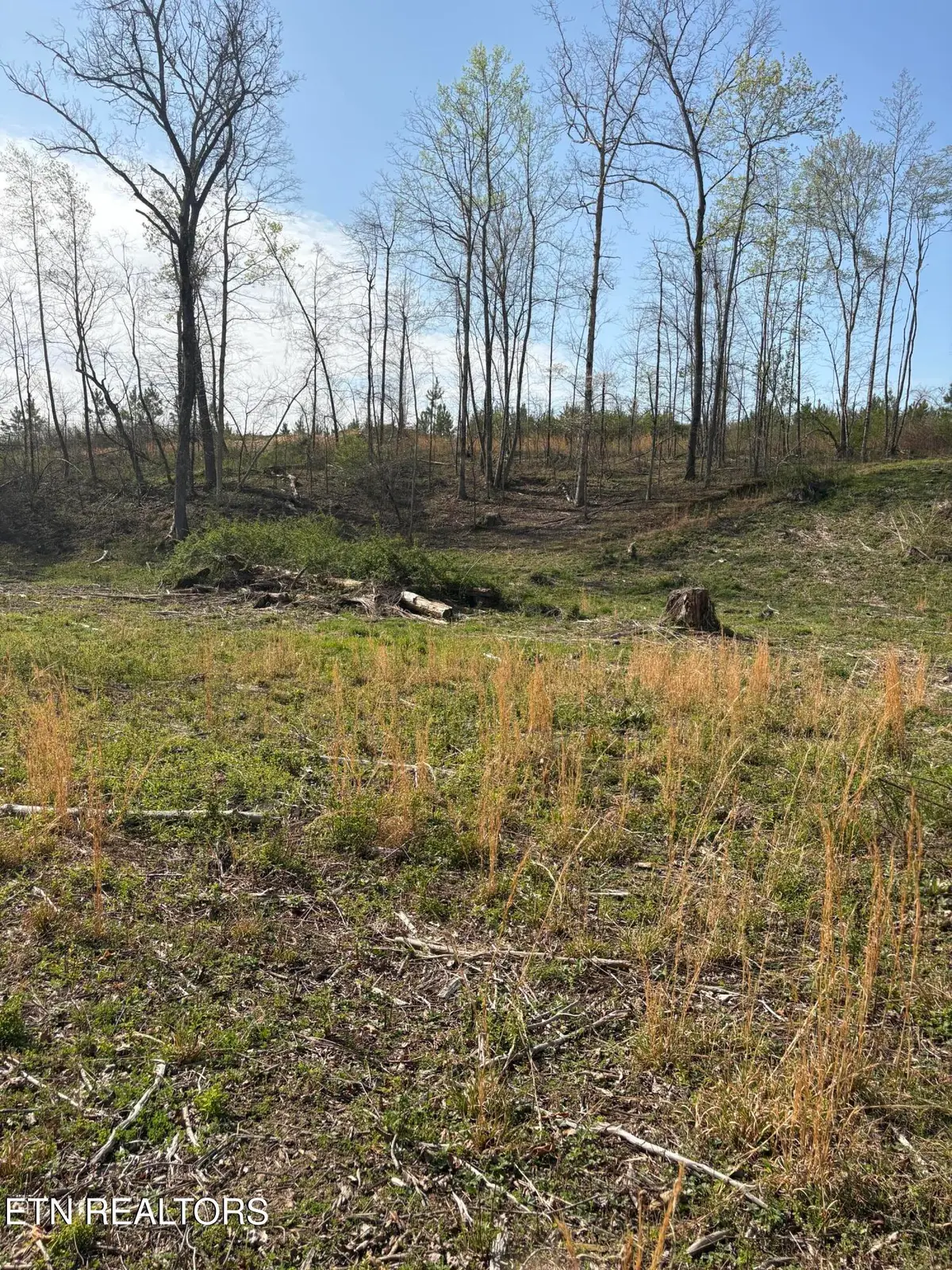 706 Arwine Rd, Decatur, TN 37322 - #1