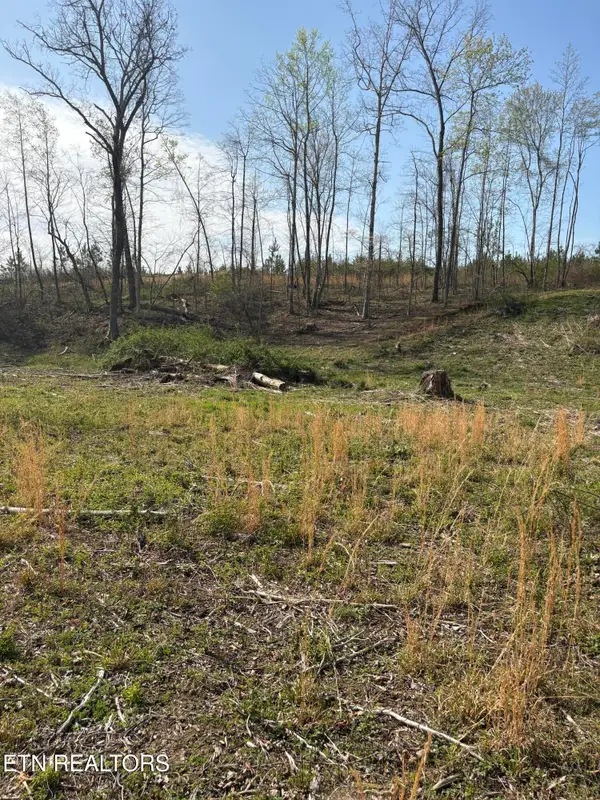 706 Arwine Rd, Decatur, TN 37322