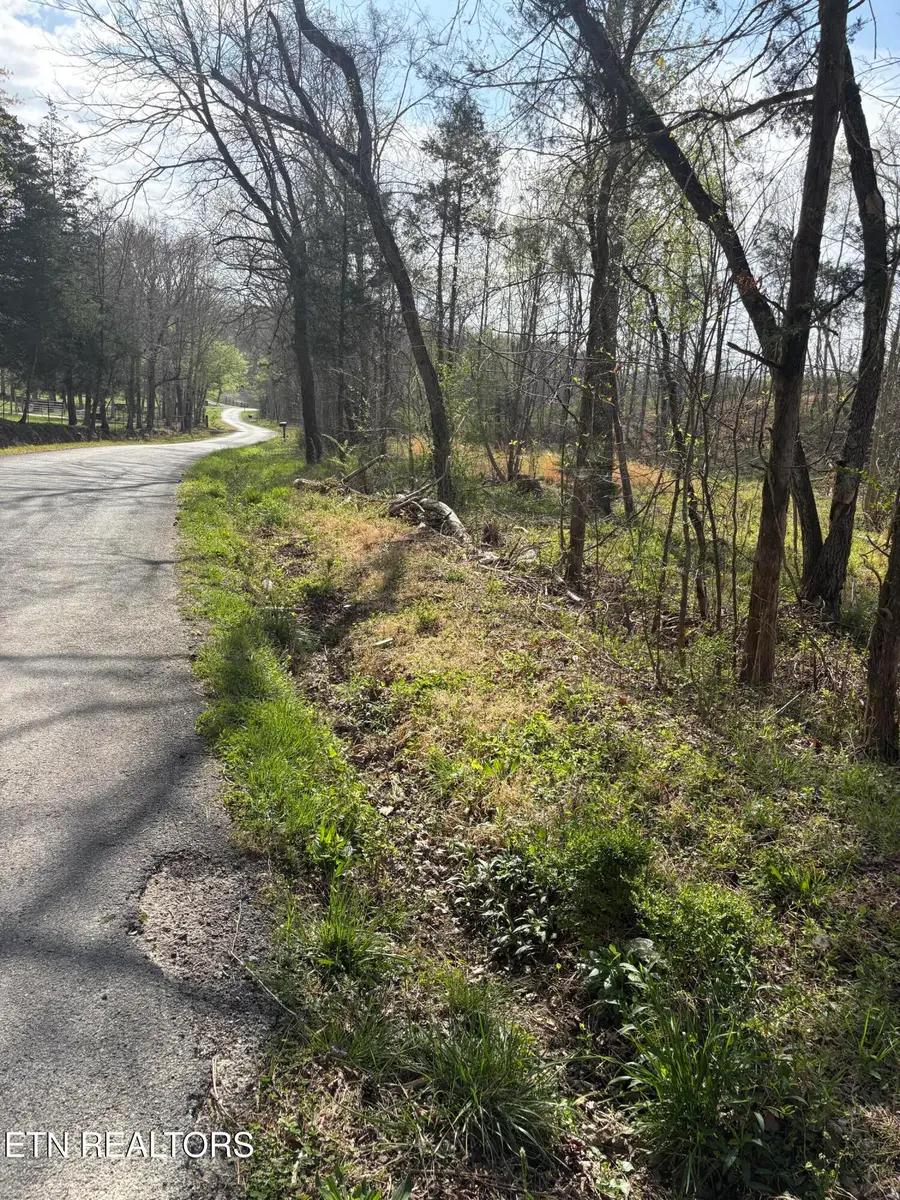 706 Arwine Rd, Decatur, TN 37322 - #3