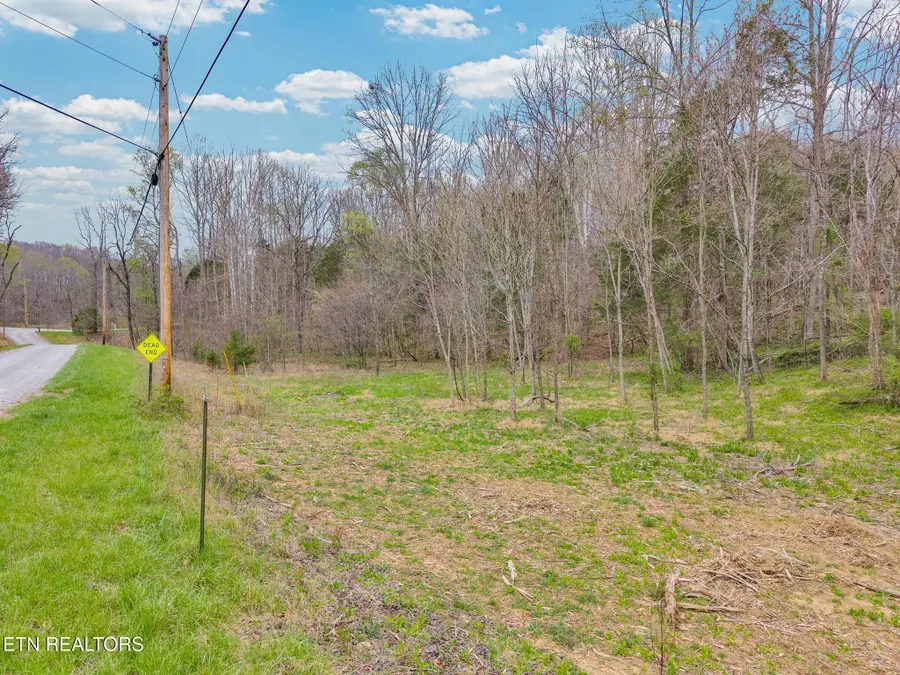 6.12AC Cave Valley Rd, Byrdstown, TN 38549 - #2