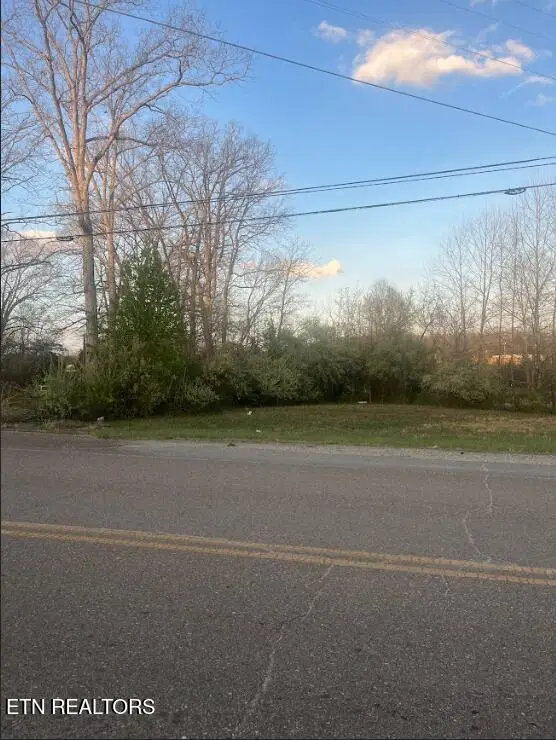 Glass House Rd, Helenwood, TN 37755 - #3