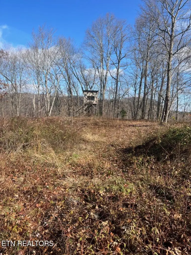 Howard Baker Hwy, Pioneer, TN 37847 - #1