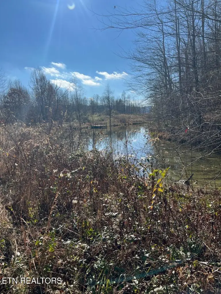 Howard Baker Hwy, Pioneer, TN 37847 - #2