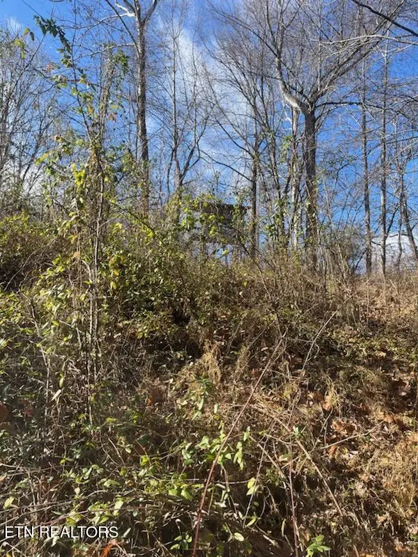 Howard Baker Hwy, Pioneer, TN 37847 - #3