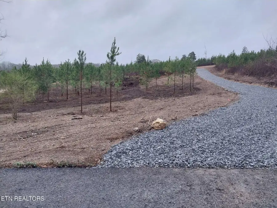 339 Big Sewee Rd, Decatur, TN 37322 - #2