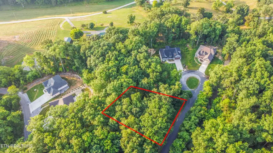 130 Nuhya Way, Loudon, TN 37774 - #3