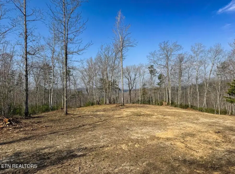 Clifty Creek Rd, Winfield, TN 37892 - #3