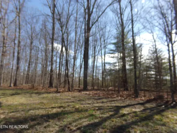 7218 Big Horn Drive, Crossville, TN 38572