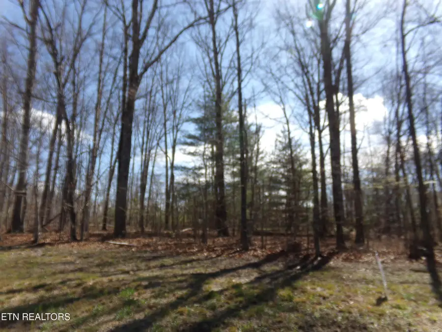 7218 Big Horn Drive, Crossville, TN 38572 - #2