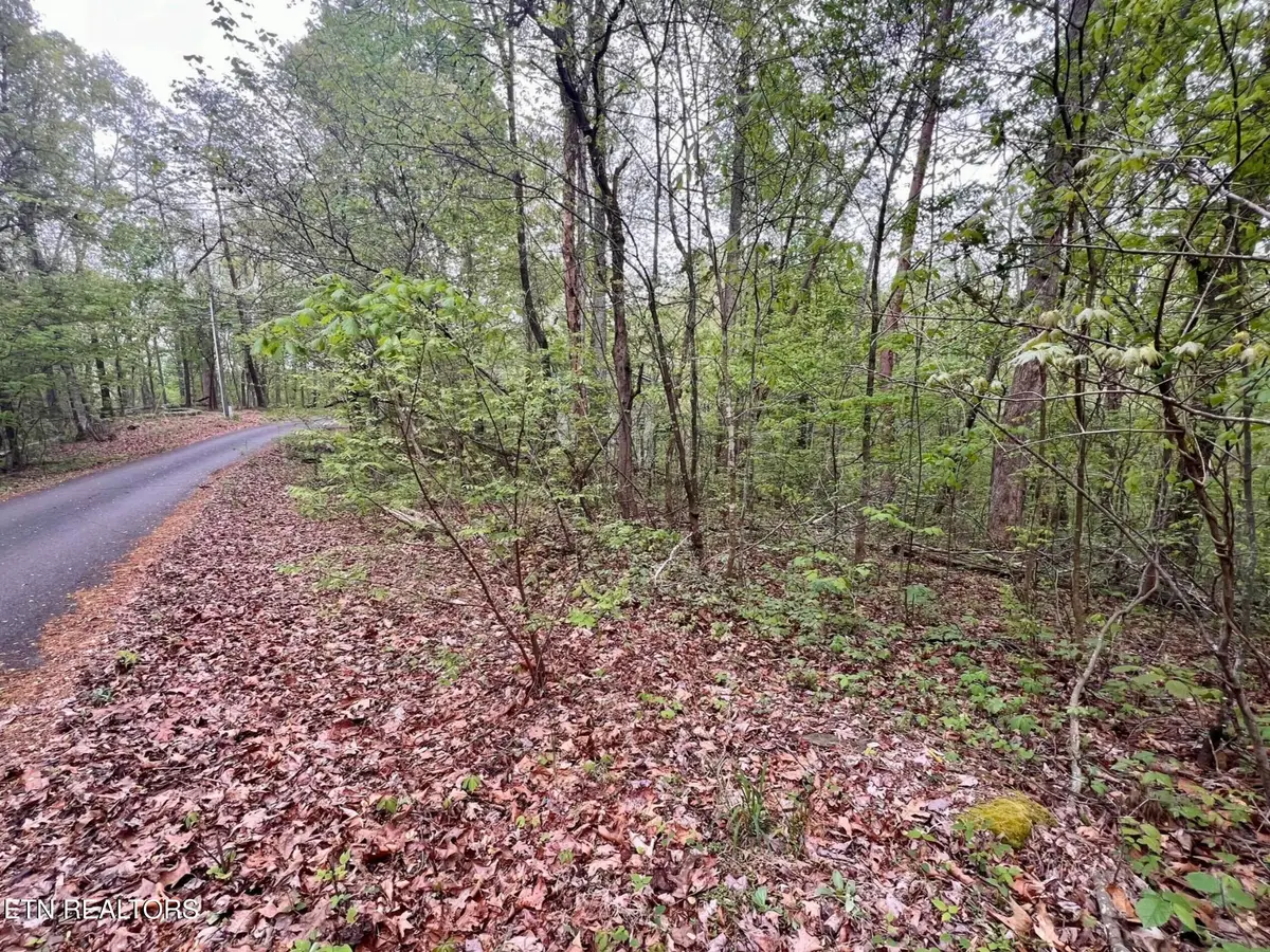Lot 71&72 Polly Mountain Rd, Madisonville, TN 37354 - #1