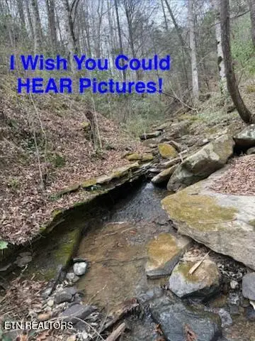 0 Hickory Creek Rd, Lafollette, TN 37766 - #3