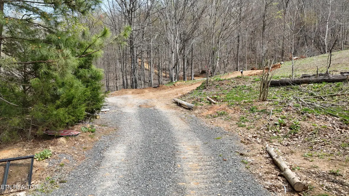 561 Geren Subd Lane, Decatur, TN 37322 - #1