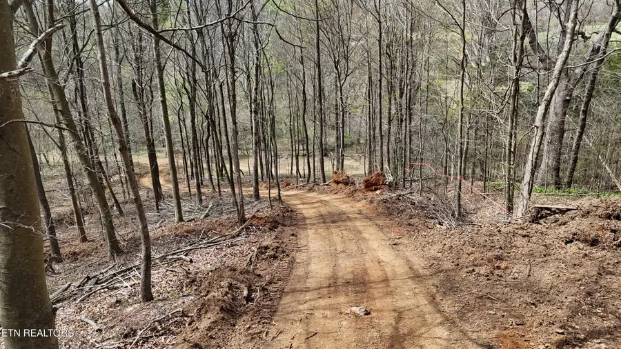 000 Geren Subd Lane, Decatur, TN 37322 - #3