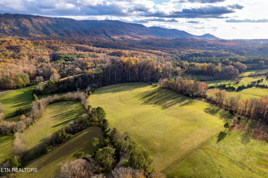 1029 Oscar Best Rd, Maryville, TN 37803 - #3
