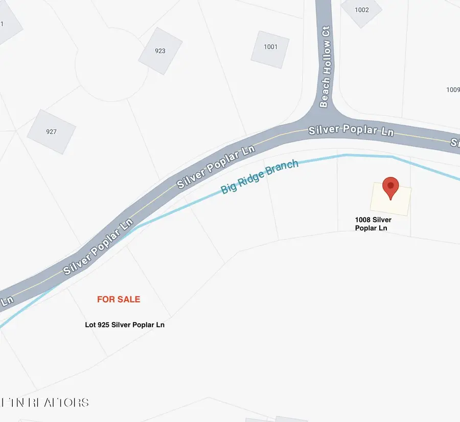 Lot 925 Silver Poplar Lane, Sevierville, TN 37876 - #3