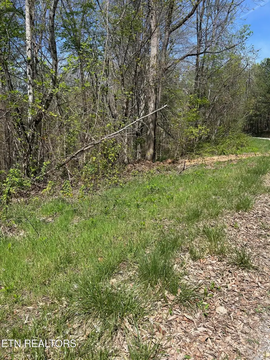 lot 28 Jones Ridge Rd, Speedwell, TN 37870 - #2