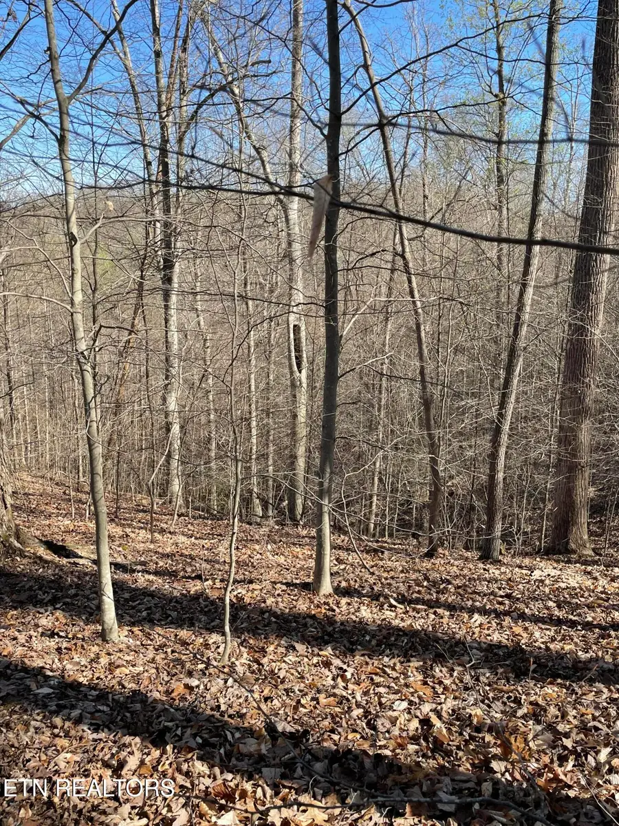 N Center Ridge Place, Baneberry, TN 37890 - #2