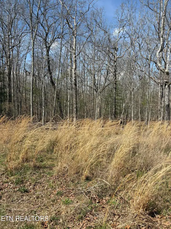 2017 Tres Circle, Crossville, TN 38572