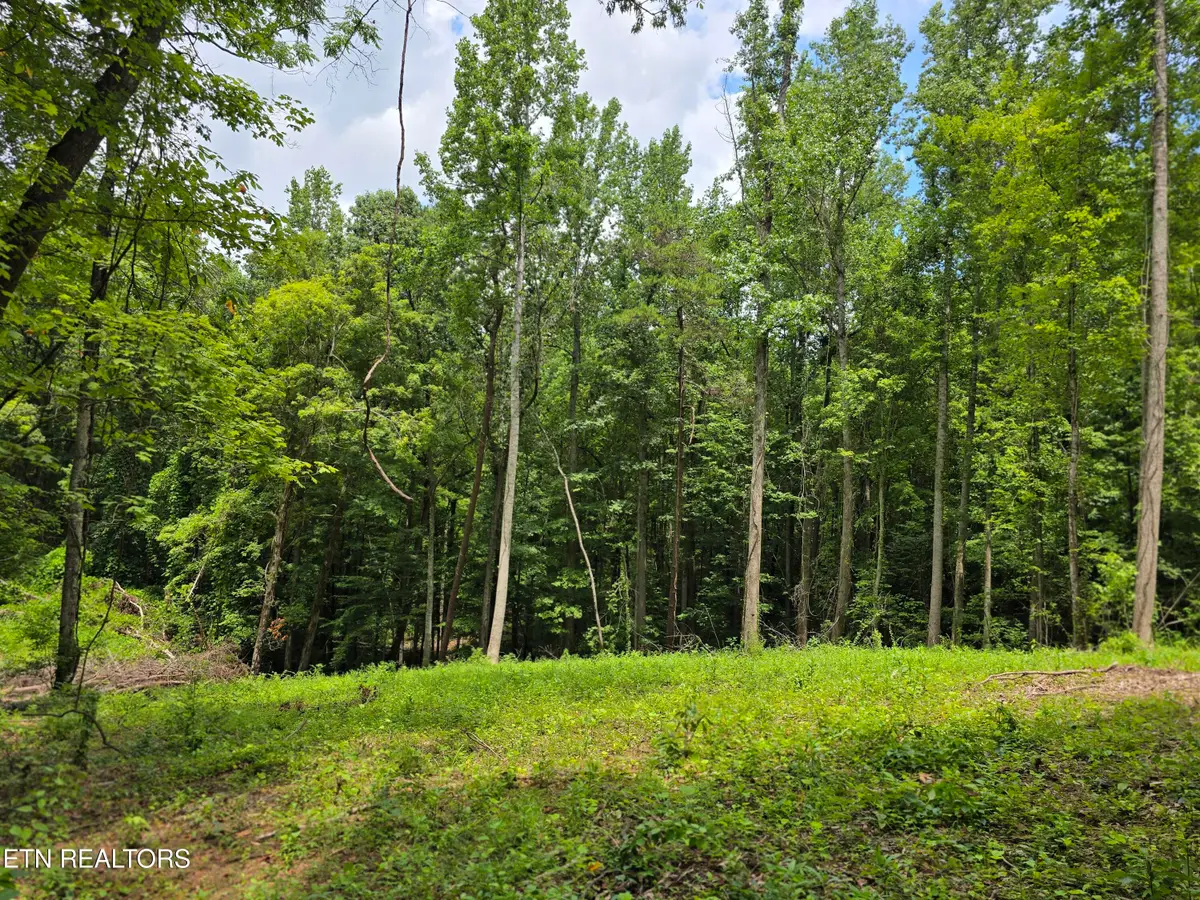 278 Norman Rd #Lot 5, Powell, TN 37849 - #1
