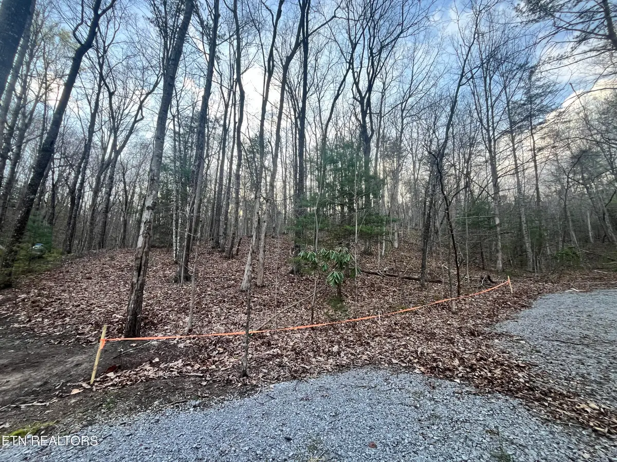 6871 Holiday Drive, Tallassee, TN 37878 - #1