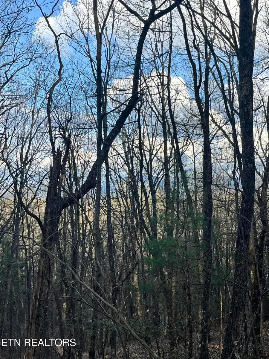 6871 Holiday Drive, Tallassee, TN 37878 - #2