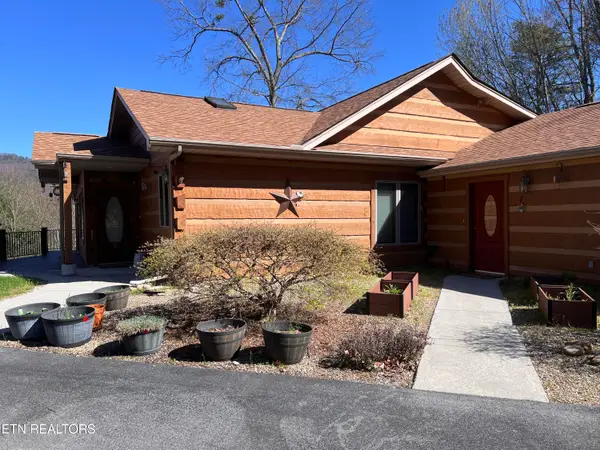 427 Gold Rd, Cosby, TN 37722