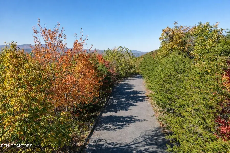 Mountain Folks Way, Sevierville, TN 37876 - #3