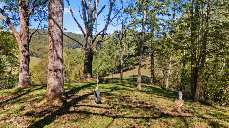 259 Little Tater Valley Rd, Luttrell, TN 37779 - #2