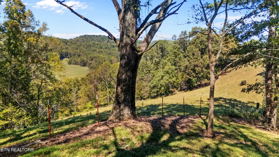259 Little Tater Valley Rd, Luttrell, TN 37779 - #3