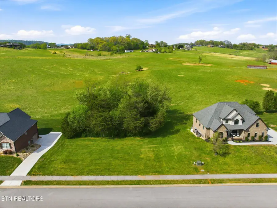 1312 Rippling Waters Circle, Sevierville, TN 37876 - #2