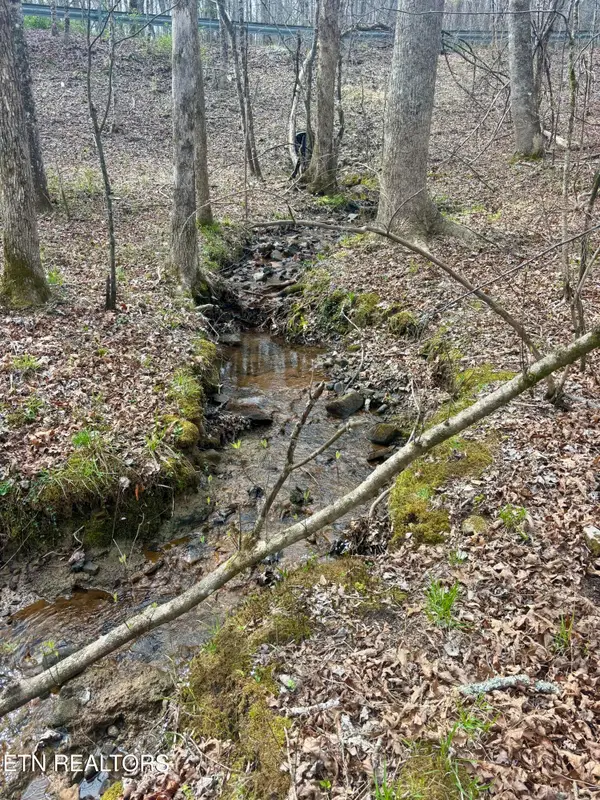 0 Crystal Point, Monterey, TN 38574