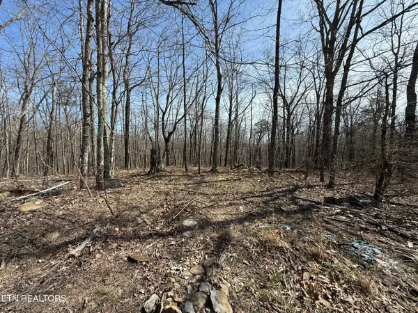 Lot 69 W Log Rd, Spring City, TN 37381