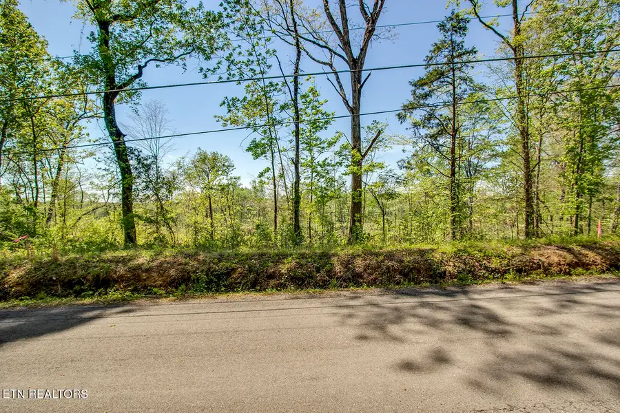 567 Oak Grove Rd, Decatur, TN 37322 - #2