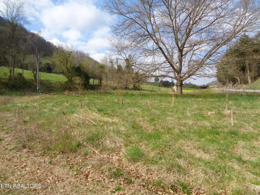7918 Kyles Ford Hwy, Kyles Ford, TN 37765 - #3