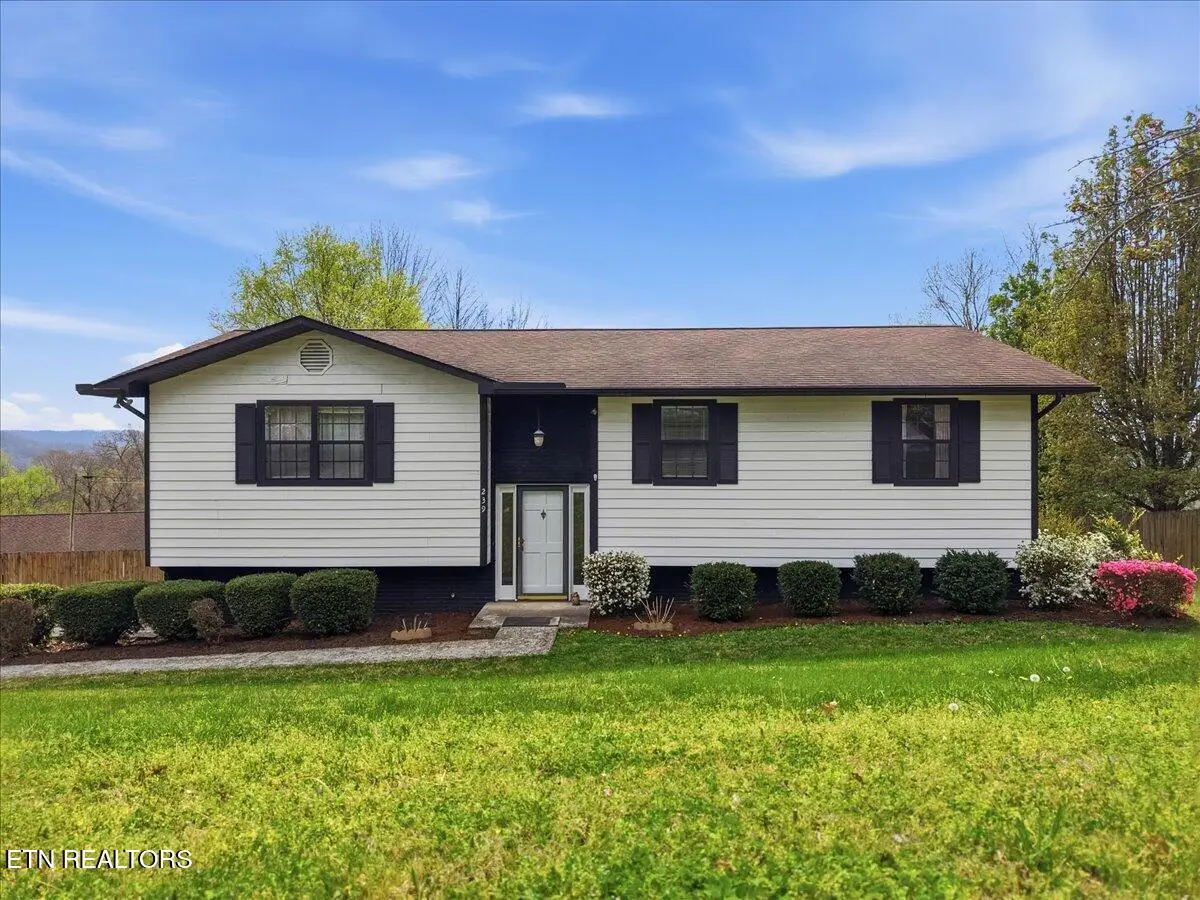239 Bello Rd, Tazewell, TN 37879 - #1