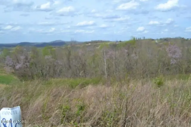Lot 84C Mallard Rd, Hilham, TN 38568 - #2