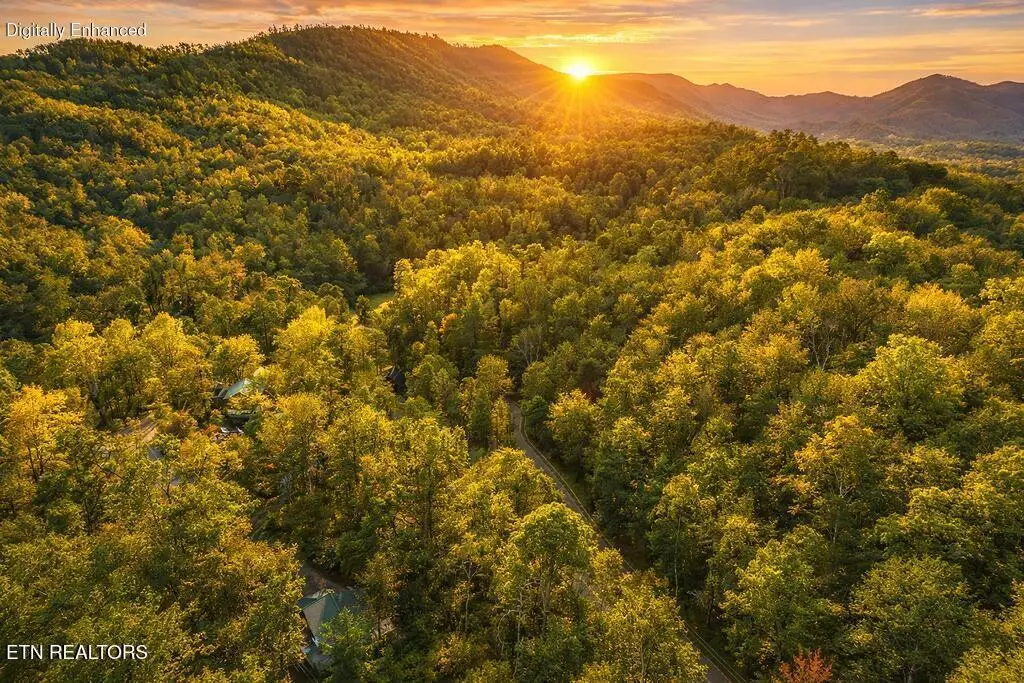 Bradley Rd, Sevierville, TN 37876 - #1