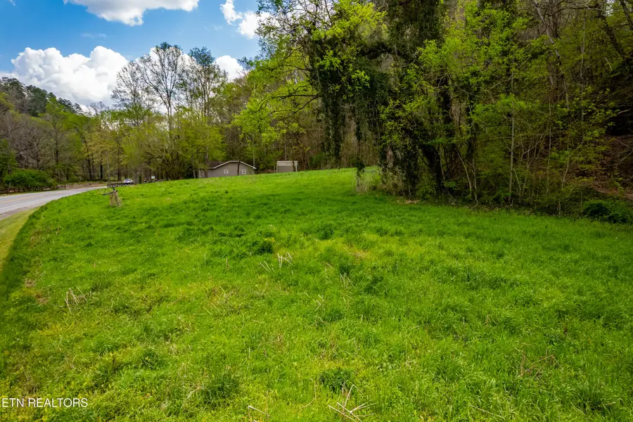 Cherohala Skyway, Tellico Plains, TN 37385 - #2