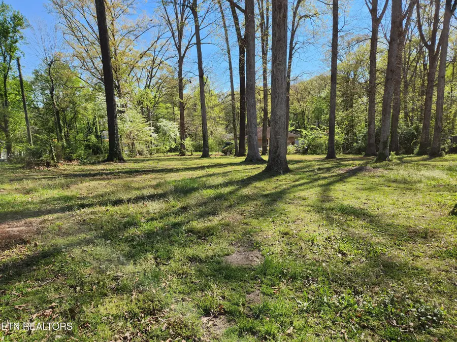 4518 Lonas Drive, Knoxville, TN 37909 - #2